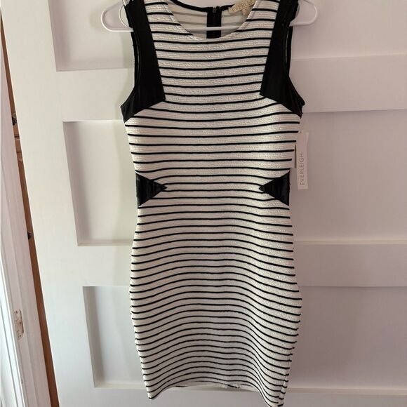 everleigh Dresses & Skirts - New Everleigh Bodycon Black and White Striped Dress